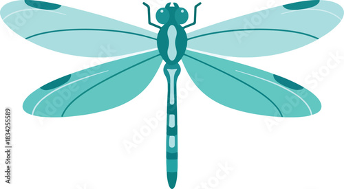 Stylized turquoise dragonfly viewed from above against a white background
