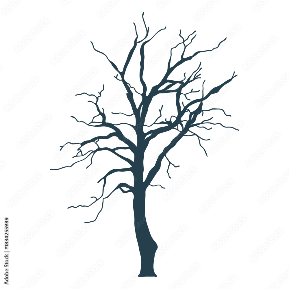 Obraz premium Bare tree simple stroke