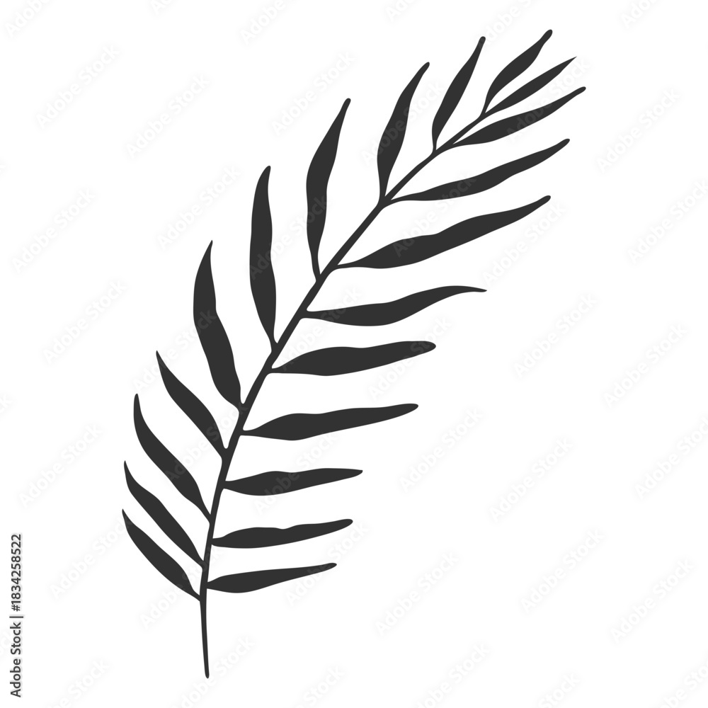 Fototapeta premium Tropical leaves coconut palm silhouette