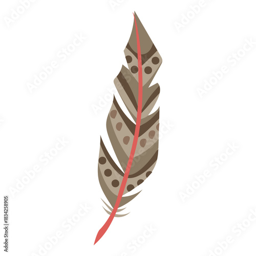 Circles brown feather illustration
