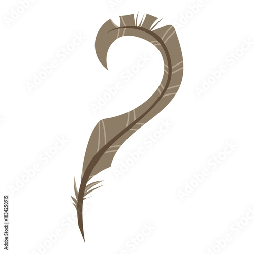 Colored curled feather