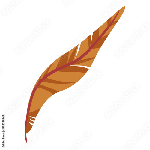 Curvy brown feather