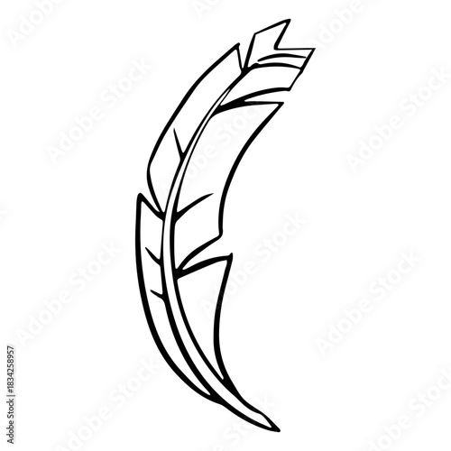 Drawn simple feather