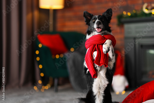 Cuadro en lienzo Cute dog with red scarf at home, space for text