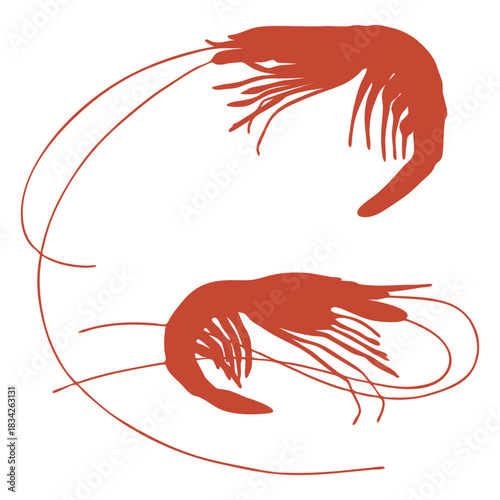 Two shrimps silhouette