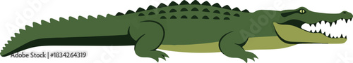 Stylized green crocodile illustration with mouth open showing teeth
