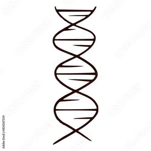 Dna genes hand drawn