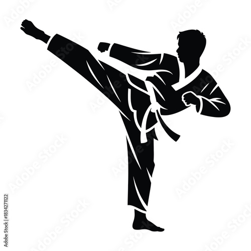 A taekwondo kicking pose silhouette, transparent background.