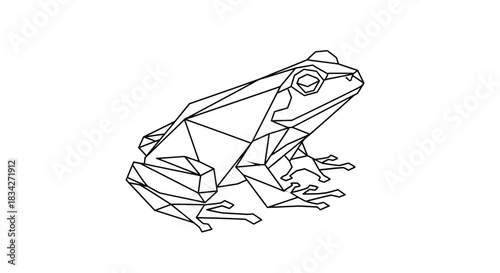 Geometric frog illustration in black and white line art on a white background
