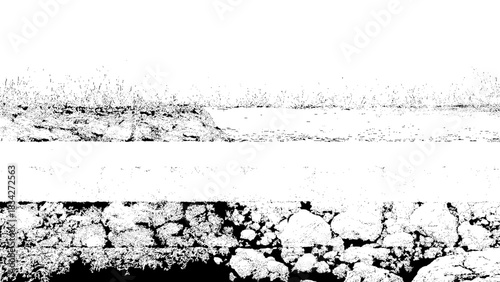 Abstract high contrast black and white nature landscape texture background Vector, illustration