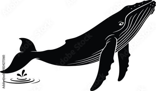 Black silhouette of a humpback whale breaching out of the ocean water surface.