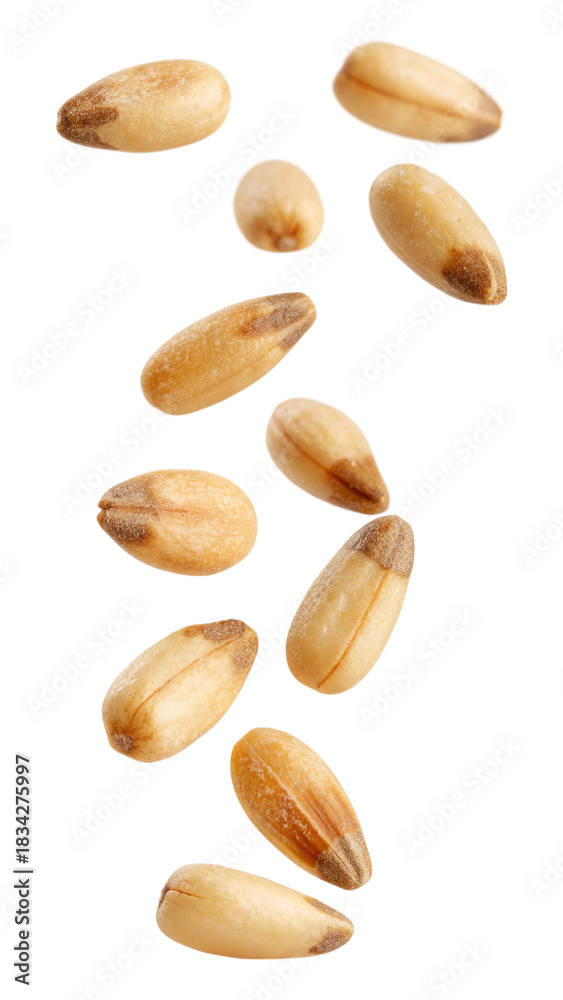 Obraz premium falling Small, light brown pine nuts isolated on transparent background