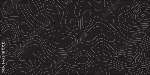 Topographic canyon geometric map relief texture with curved layers and shadow .Abstract geometric topographic contour map background. Panorama view gradient multicolor wave curve