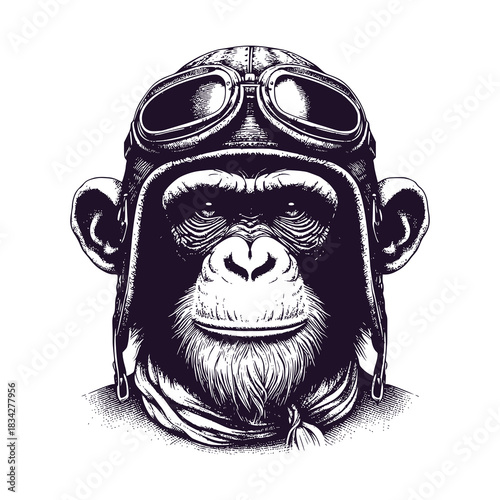 chimpanzee wearing a pilot's helmet