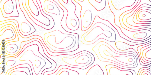 Topographic canyon geometric map relief texture with curved layers and shadow .Abstract geometric topographic contour map background. Panorama view gradient multicolor wave curve