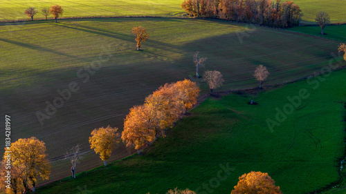 Paysage rural autour des berges de la rivière Allier autour de la commune d'Aubigny dans le département de l'Allier à l'automne en France