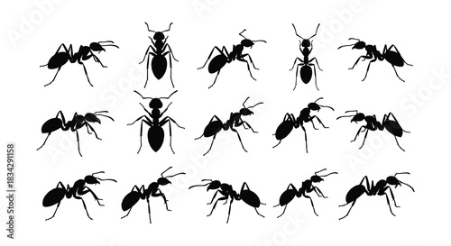 A collection of black silhouette ants displayed in a grid pattern
