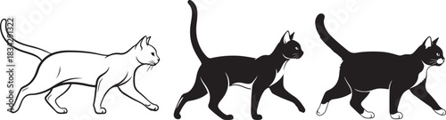 Black cat silhouette illustrations in various, Cats silhouettes Vector...