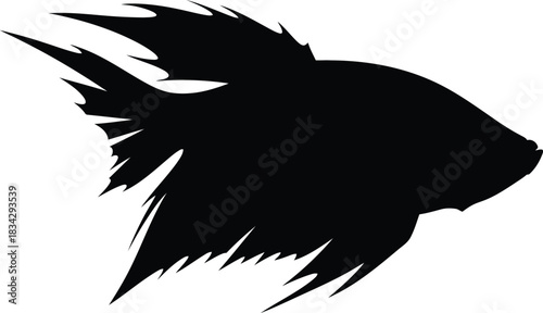 Betta fish silhouette vector