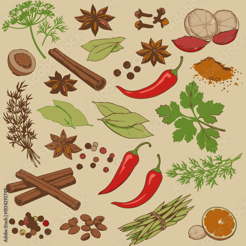 Collection of various spices and herbs displayed in an artistic style.