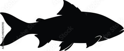 Silhouette of a streamlined fish, vector illustration