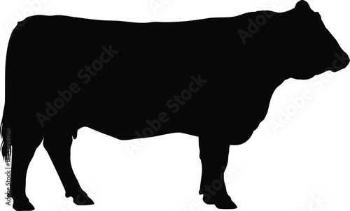 Black cow silhouette side view isolated on white background