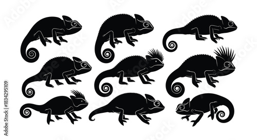 Black silhouettes of chameleons in various poses and arrangements