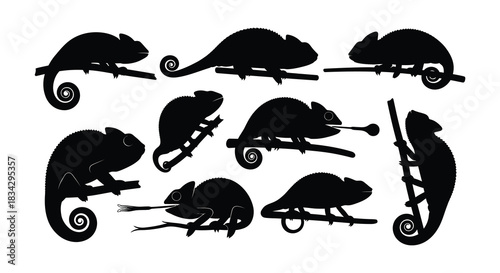 Black silhouettes of chameleons in various poses and arrangements