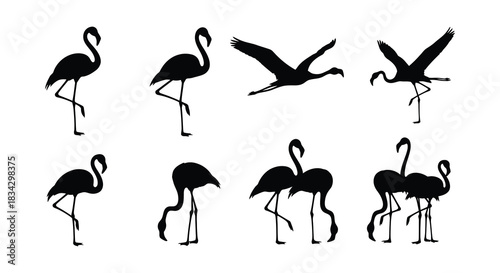 A collection of black silhouette illustrations depicting various flamingo poses and forms
