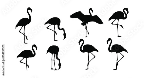 A collection of black silhouette illustrations depicting various flamingo poses and forms
