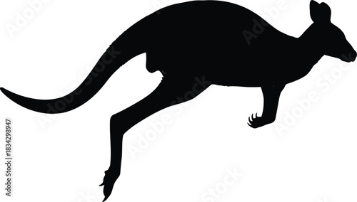 Silhouette of a kangaroo jumping on a white background