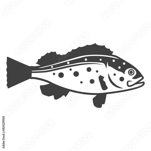 Bass fish illustration