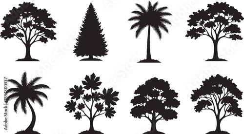 Assortment of eight black tree silhouettes including palm and pine on white vector