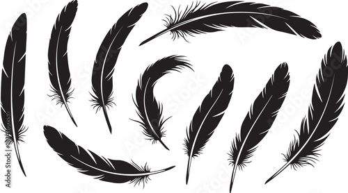 Collection of black feather silhouettes on white background bird quill