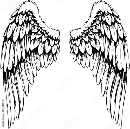 Stylized feathered angel wings graphic illustration art element