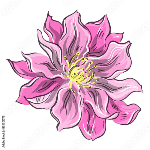 Chinese pink flower nice