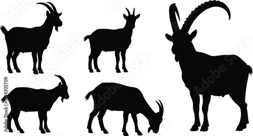 Mountain Goat and Ibex Silhouettes Vector Collection, Detailed Set of Alpine Animals with Curved Horns, Illustrating Wildlife, Nature, Farm Animals, and Strong Masculine Power in Black and White.