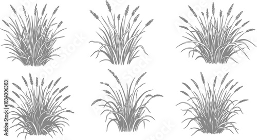 Black and Green Grass Bush Illustration – Transparent Background PNG