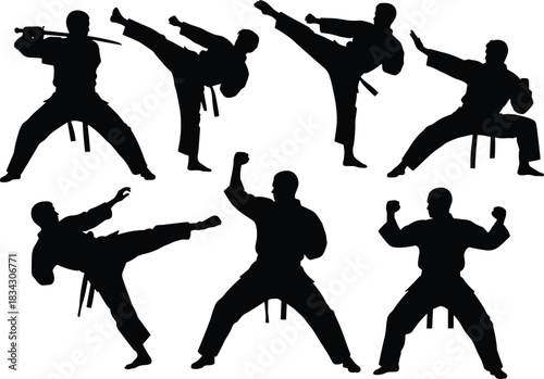Traditional Martial Arts Silhouette Vector Set, Illustrating Black Belt Fighters Practicing Karate, Taekwondo, and Kendo Sword Training, Emphasizing Discipline, Combat Sport, and Self-Defense 