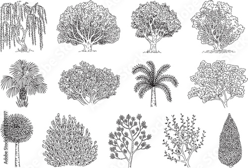 Variety of hand drawn trees and shrubs in black and white
