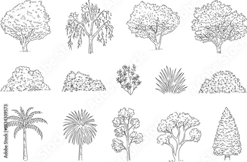 Various trees and bushes collection in simple drawing style sketches