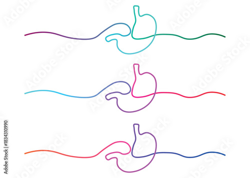 Colorful Stomach Illustrations Displaying Digestive Health and Awareness for Medical Education and Healthcare Professionals Promoting Gastroenterology and Well being