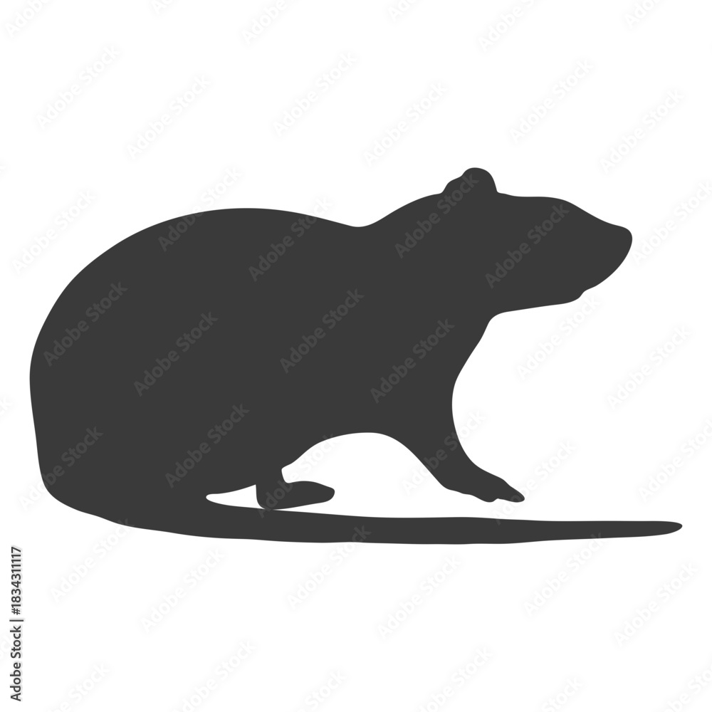 Fototapeta premium Mouse silhouette side view