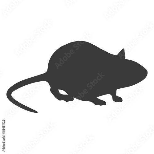 Mouse side view silhouette