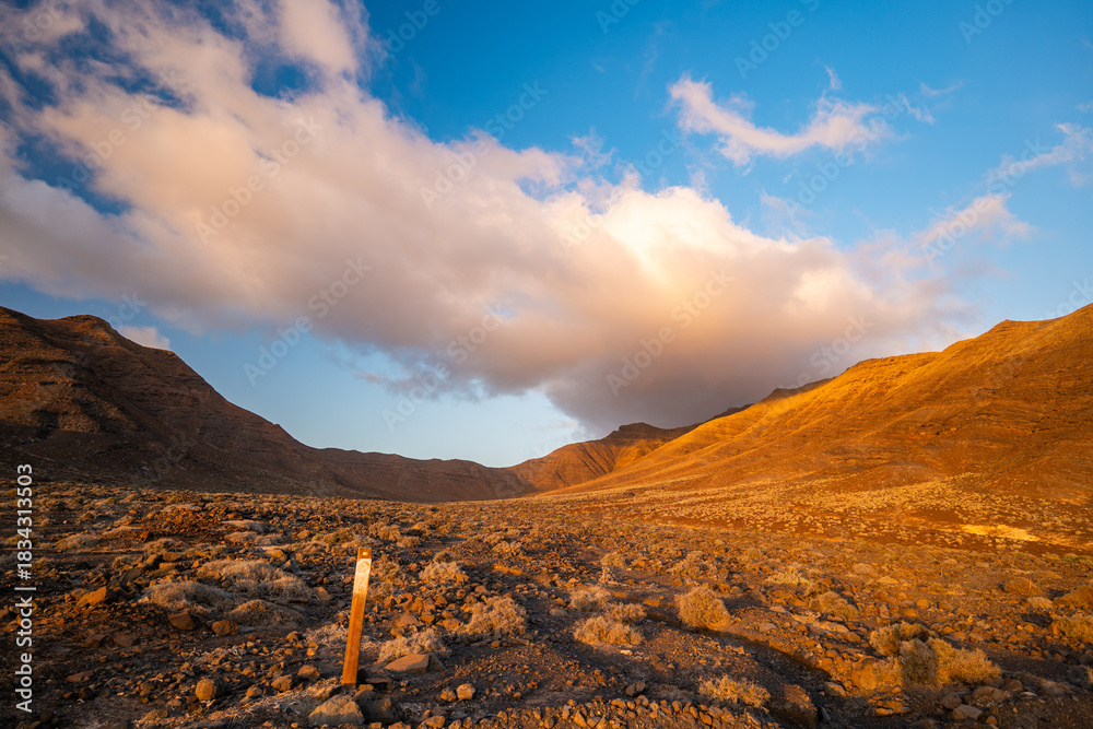 Fototapeta premium The Jandía Natural Park, Fuerteventura, Canary Islands, Spain
