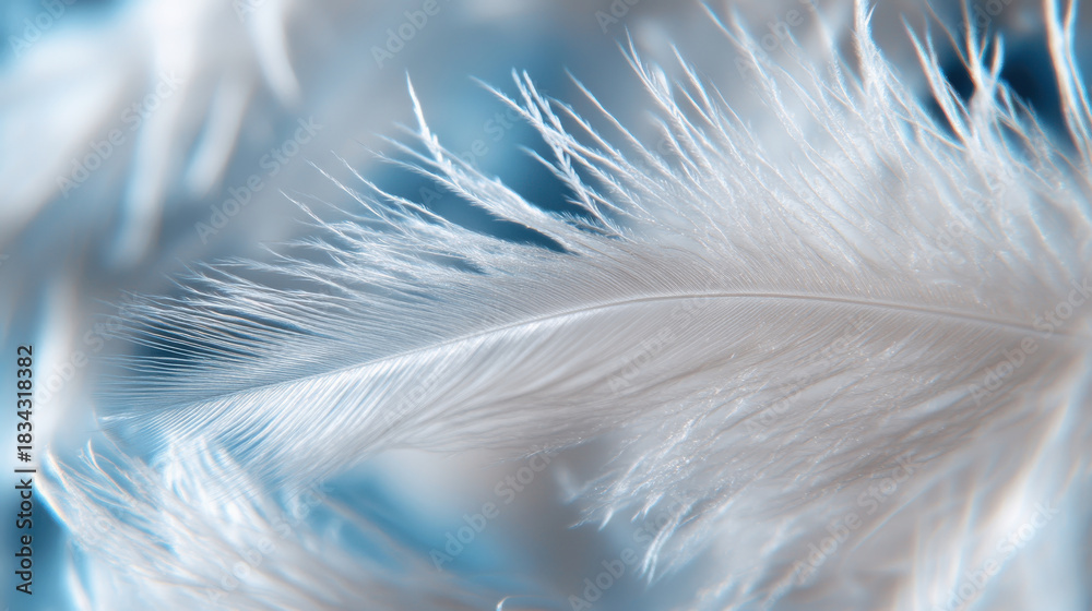 Obraz premium An intricate close-up of feathers portrays soft textures against a dreamlike background, invoking feelings of tranquility, beauty, and the delicacy of nature's creations.