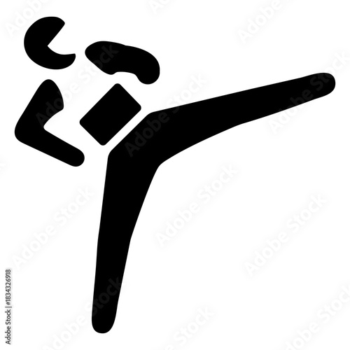 Judo paralympics silhouette