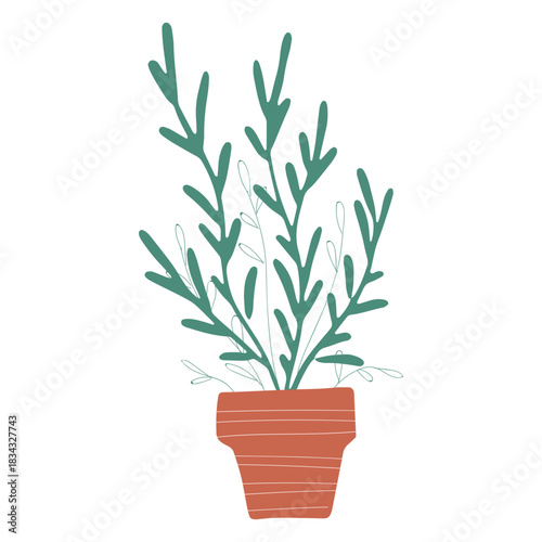 Decoration plant in pot illustration