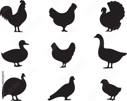 farm birds silhouette set poultry icon vector illustration