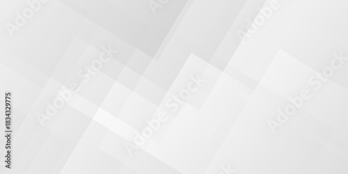 	
Abstract vector minimal tech gradient white, gray creative triangle geometric technology space. rectangle randomly arranged white line background. paper web overlap presentation design.